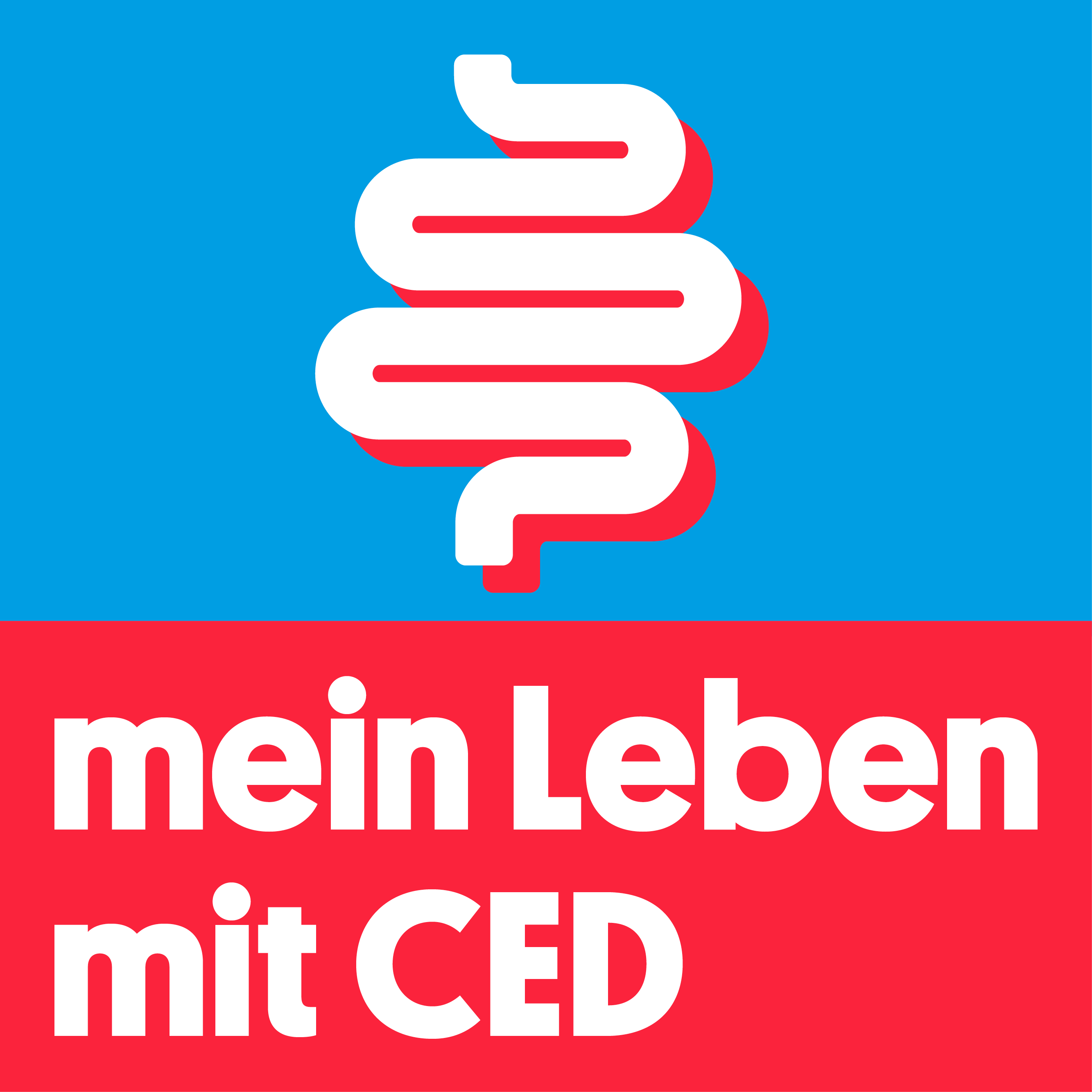CED_LOGO